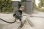 Строительный пылесос Karcher WD 4 S V-20/5/22 1000Вт (уборка: сухая/сбор воды) желтый - купить недорого с доставкой в интернет-магазине