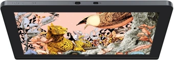 Графический планшет-монитор XPPen Artist Pro 16 USB Type-C/USB/HDMI черный - купить недорого с доставкой в интернет-магазине