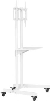 Стойка для телевизора Cactus CS-ST04 белый 37"-70" макс.68кг напольный мобильный - купить недорого с доставкой в интернет-магазине