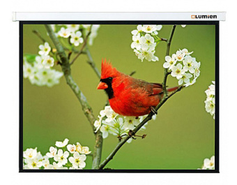 Экран Lumien 165" 305x305см Master Picture LMP-100107 1:1 настенно-потолочный рулонный - купить недорого с доставкой в интернет-магазине