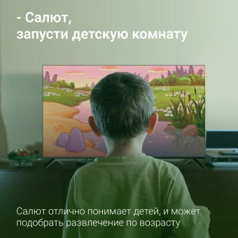 Телевизор LED Digma 50" DM-LED50UBB40 Салют ТВ Frameless Metal черный 4K Ultra HD 60Hz DVB-T DVB-T2 DVB-C DVB-S DVB-S2 USB WiFi Smart TV - купить недорого с доставкой в интернет-магазине