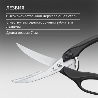 Ножницы кухонные Victorinox для разделки птицы 250мм черный (7.6344) - купить недорого с доставкой в интернет-магазине
