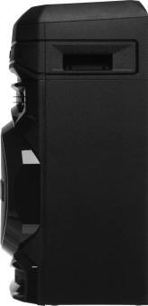 Минисистема LG XBoom RNC5 черный 300Вт FM USB BT - купить недорого с доставкой в интернет-магазине