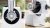 Мясорубка Bosch MFWS420W 1900Вт белый - цена, купить или заказать с доставкой в интернет-магазине Мясорубка Bosch MFWS420W 1900Вт белый - купить недорого с доставкой в интернет-магазине