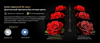Телевизор QLED Skyworth 75" 75X67H черный/серый 4K Ultra HD 120Hz MEMC DVB-T DVB-T2 DVB-C DVB-S DVB-S2 USB WiFi Smart TV - купить недорого с доставкой в интернет-магазине
