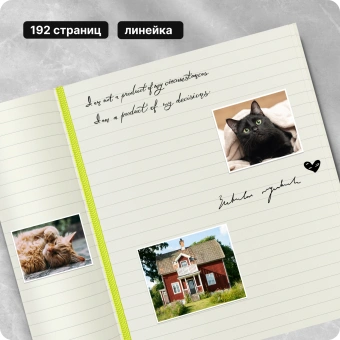 Блокнот Moleskine CLASSIC SOFT QP616C2 Large 130х210мм 192стр. линейка мягкая обложка лайм - купить недорого с доставкой в интернет-магазине