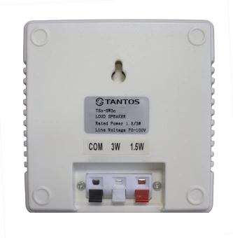Громкоговоритель Tantos TSo-SW3c настенный 3Вт белый (00-00026402) - купить недорого с доставкой в интернет-магазине
