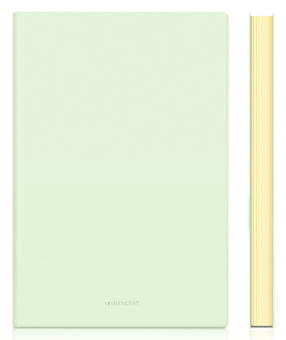 Блокнот Deli EN140LGREEN A5 210х143мм искусст. кожа 96л линейка мягкая обложка зеленый - купить недорого с доставкой в интернет-магазине