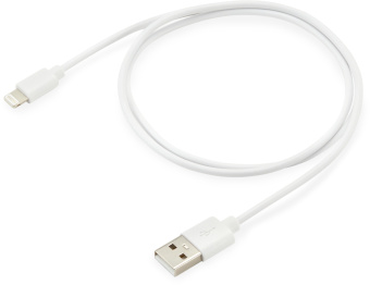 Кабель Buro BHP LIGHTNING 0.8 USB (m)-Lightning (m) 0.8м белый - купить недорого с доставкой в интернет-магазине