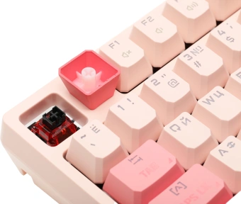Клавиатура A4Tech S87 Energy механическая розовый USB for gamer LED (S87 USB ENERGY PINK) кабель 1.8м - купить недорого с доставкой в интернет-магазине