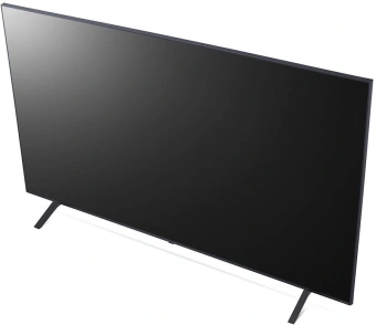 Телевизор LED LG 65" 65NANO80T6A.ARUG синяя сажа 4K Ultra HD 60Hz DVB-T DVB-T2 DVB-C DVB-S DVB-S2 USB WiFi Smart TV - купить недорого с доставкой в интернет-магазине