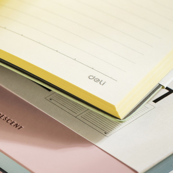 Блокнот Deli EN140LBLUE A5 210х143мм искусст. кожа 96л линейка мягкая обложка голубой - купить недорого с доставкой в интернет-магазине