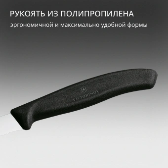Набор ножей кухон. Victorinox Swiss Classic Paring 6.7633.6 для овощей компл.:6предм. черный карт.коробка - купить недорого с доставкой в интернет-магазине