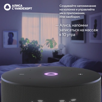 Умная колонка Yandex Станция Мини 3 Алиса черный 12W 1.0 BT/Wi-Fi (YNDX-00027BLK) - купить недорого с доставкой в интернет-магазине