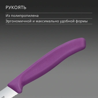 Нож кухонный Victorinox Swiss Classic (6.7735.C1) стальной универсальный для чистки овощей и фруктов лезв.100мм серрейт. заточка пурпурный - купить недорого с доставкой в интернет-магазине