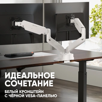 Кронштейн для мониторов Onkron G160 BW черный/белый 13"-32" макс.10кг настольный поворот и наклон верт.перемещ. - купить недорого с доставкой в интернет-магазине