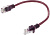 Патч-корд Premier PP12-0.25M/V 1000Гбит/с UTP 4 пары cat.5E CCA molded 0.25м фиолетовый RJ-45 (m)-RJ-45 (m)