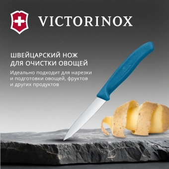 Нож кухонный Victorinox Swiss Classic (6.7602.C1) стальной универсальный для чистки овощей и фруктов лезв.80мм прямая заточка синий - купить недорого с доставкой в интернет-магазине