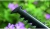 Кусторез Bosch EasyHedgeCut 55 (0600847C02) - цена, купить или заказать с доставкой в интернет-магазине Кусторез Bosch EasyHedgeCut 55 (0600847C02) - купить недорого с доставкой в интернет-магазине