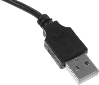 Камера Web Ritmix RVC-250 черный 5Mpix (2592x1944) USB2.0 с микрофоном - купить недорого с доставкой в интернет-магазине
