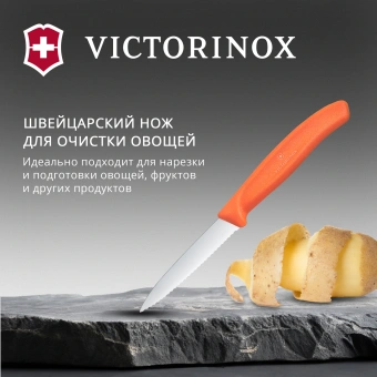 Нож кухонный Victorinox Swiss Classic (6.7639.C1) для чистки овощей и фруктов лезв.80мм серрейт. заточка оранжевый - купить недорого с доставкой в интернет-магазине