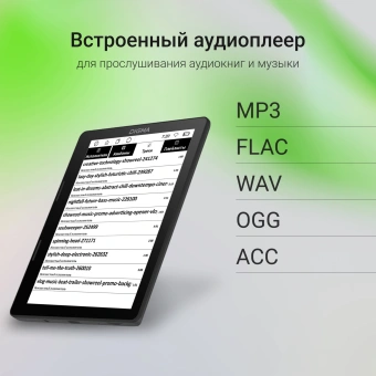 Электронная книга Digma F4 5.83" E-Ink 680x920 Touch Screen 1.2Ghz 1Gb/8Gb/SD/microSDHC/подсветка дисплея черный - купить недорого с доставкой в интернет-магазине