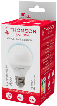 Лампа светодиодная Thomson TH-B2318 6Вт цок.:E27 шар 220B св.свеч.бел.хол. Globe (упак.:1шт) - купить недорого с доставкой в интернет-магазине