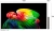 Телевизор OLED LG 55" OLED55B6RLA.ARU коричневый/серый 4K Ultra HD 120Hz DVB-T2 DVB-C DVB-S2 USB WiFi Smart TV (RUS) - цена, купить или заказать с доставкой в интернет-магазине Телевизор OLED LG 55" OLED55B6RLA.ARU коричневый/серый 4K Ultra HD 120Hz DVB-T2 DVB-C DVB-S2 USB WiFi Smart TV (RUS) - купить недорого с доставкой в интернет-магазине