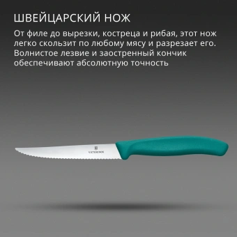 Нож кухонный Victorinox Swiss Classic 6.7234.C1 стальной универсальный для стейка/пиццы лезв.110мм серрейт. заточка зеленый - купить недорого с доставкой в интернет-магазине