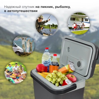 Автохолодильник Starwind CF-132 32л 48Вт серый/голубой - купить недорого с доставкой в интернет-магазине