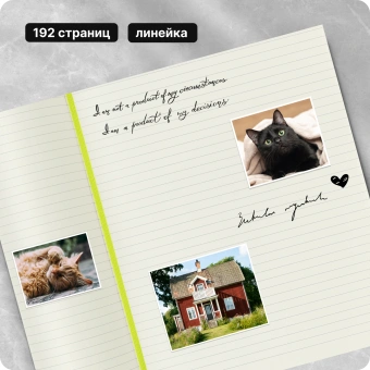 Блокнот Moleskine CLASSIC SOFT QP621C2 XLarge 190х250мм 192стр. линейка мягкая обложка лайм - купить недорого с доставкой в интернет-магазине