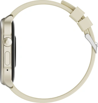 Смарт-часы Tecno Watch 3 Active 2.04" LCD корп.золотистый рем.золотистый (W03A) - купить недорого с доставкой в интернет-магазине