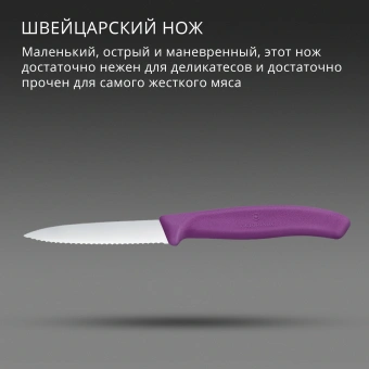 Нож кухонный Victorinox Swiss Classic (6.7635.C1) стальной универсальный для чистки овощей и фруктов лезв.80мм серрейт. заточка пурпурный - купить недорого с доставкой в интернет-магазине