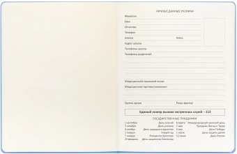 Дневник школьный Deli CN150-YELL желтый 48л. универсальный обл.тверд. мел.карт. - купить недорого с доставкой в интернет-магазине