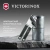 Открывалка Victorinox Utensils черный упак.:европодвес (7.6857.3) - купить недорого с доставкой в интернет-магазине