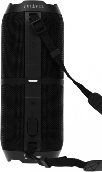 Колонка порт. Ural ГР-003 черный 30W 2.0 BT 10м 2500mAh (УРАЛ ГР-003 ЧЕРНЫЙ) - купить недорого с доставкой в интернет-магазине