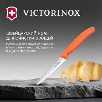 Нож кухонный Victorinox Swiss Classic (6.7709.C1) для овощей лезв.100мм прямая заточка оранжевый - купить недорого с доставкой в интернет-магазине