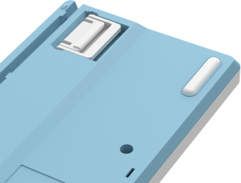 Клавиатура A4Tech Fstyler FS300 механическая белый/синий USB for gamer LED (FS300 PANDA SNOWBOARDING) - цена, купить или заказать с доставкой в интернет-магазине Клавиатура A4Tech Fstyler FS300 механическая белый/синий USB for gamer LED (FS300 PANDA SNOWBOARDING) - купить недорого с доставкой в интернет-магазине