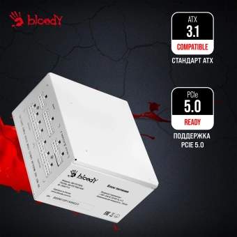 Блок питания Bloody ATX 750W BD-PS750G 80+ gold (20+4pin) APFC 120mm fan 6xSATA Cab Manag RTL - купить недорого с доставкой в интернет-магазине