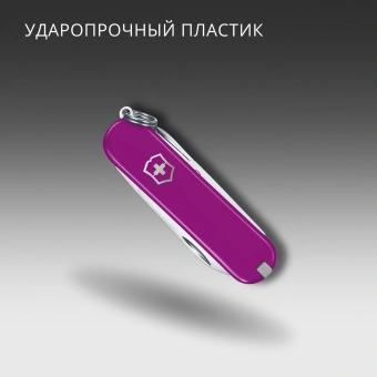 Нож перочинный Victorinox Classic SD Tasty Grape (0.6223.52G) 58мм 7функц. подар.коробка - купить недорого с доставкой в интернет-магазине