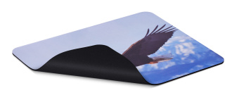 Коврик для мыши Buro BU-M40005 Мини рисунок/орёл 230x180x2мм - купить недорого с доставкой в интернет-магазине