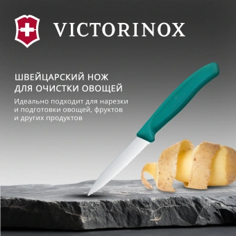 Нож кухонный Victorinox Swiss Classic (6.7634.C1) стальной столовый для чистки овощей и фруктов лезв.80мм серрейт. заточка зеленый - купить недорого с доставкой в интернет-магазине