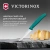 Нож кухонный Victorinox Swiss Classic (6.7634.C1) стальной столовый для чистки овощей и фруктов лезв.80мм серрейт. заточка зеленый - купить недорого с доставкой в интернет-магазине