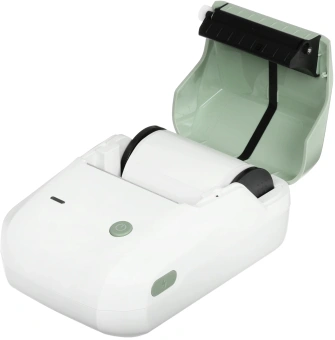 Термопринтер Niimbot B1 (1746798) 203dpi 50мм/с/USB/BT для печ.этик. зеленый - купить недорого с доставкой в интернет-магазине