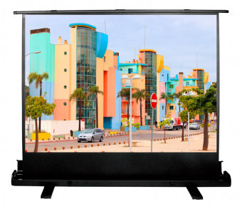 Экран Cactus 120x160см FloorExpert CS-PSFLE-160X120 4:3 напольный рулонный - купить недорого с доставкой в интернет-магазине