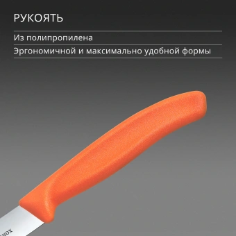 Нож кухонный Victorinox Swiss Classic (6.7709.C1) для овощей лезв.100мм прямая заточка оранжевый - купить недорого с доставкой в интернет-магазине