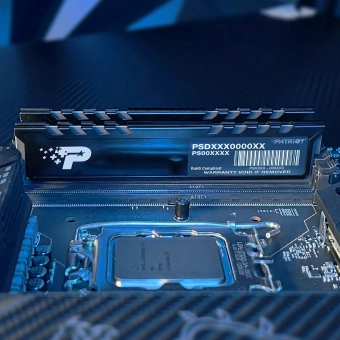 Память DDR5 16GB 5600MHz Patriot PSP516G560081H1 Signature Premium RTL PC5-44800 CL46 DIMM 288-pin 1.1В single rank с радиатором Ret - купить недорого с доставкой в интернет-магазине