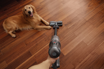 Пылесос моющий Puppyoo T12 Plus Rinse 585Вт серый - купить недорого с доставкой в интернет-магазине