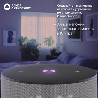 Умная колонка Yandex Станция Мини 3 Алиса серый 12W 1.0 BT/Wi-Fi (YNDX-00027GRY) - купить недорого с доставкой в интернет-магазине