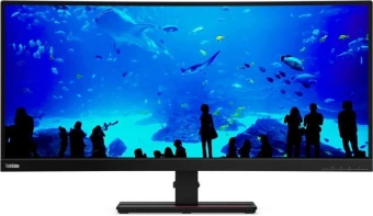 Монитор Lenovo 34" ThinkVision P34w-20 черный IPS LED 6ms 21:9 HDMI M/M HAS Piv 300cd 178гр/178гр 3440x1440 60Hz DP WQ HD 2K (1440p) USB 10.8кг - купить недорого с доставкой в интернет-магазине